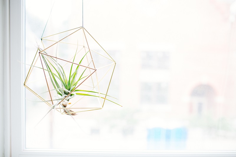 wire hanging planter