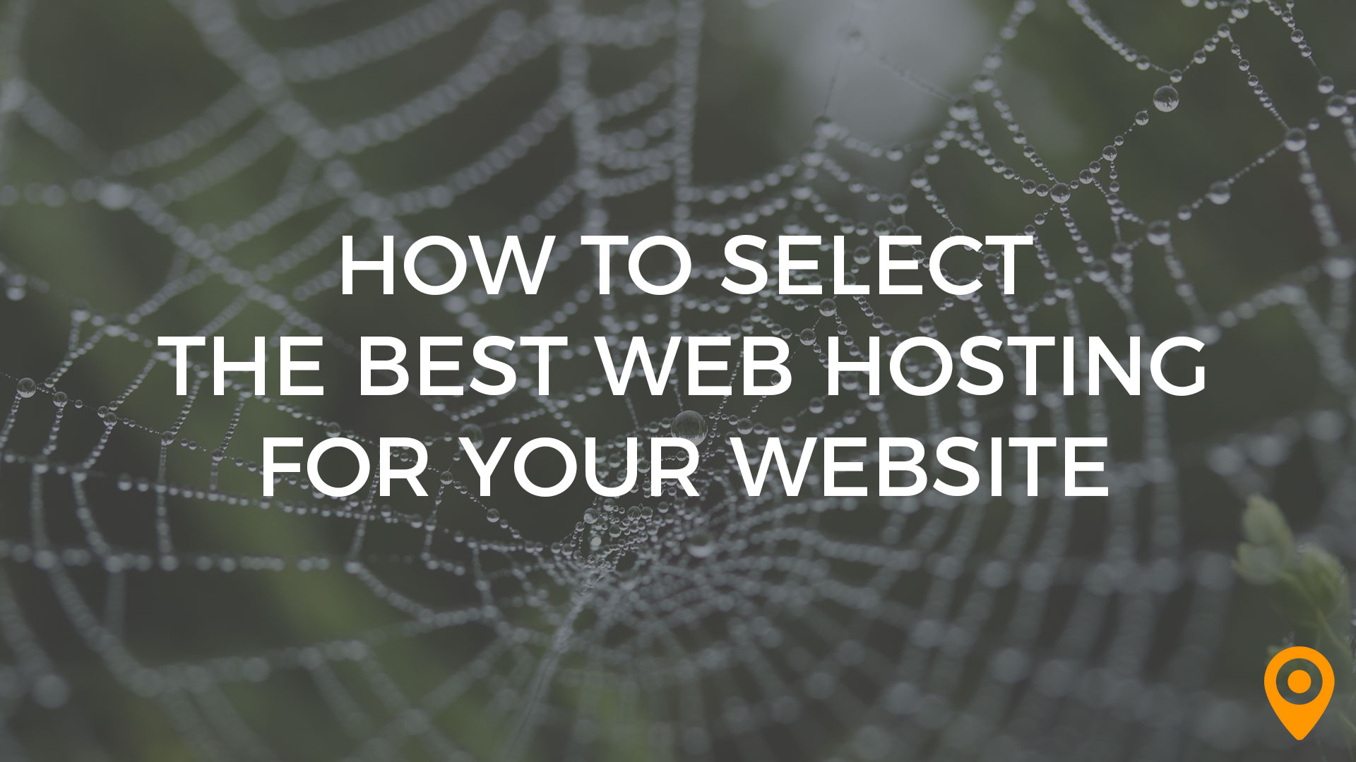 web hosting options