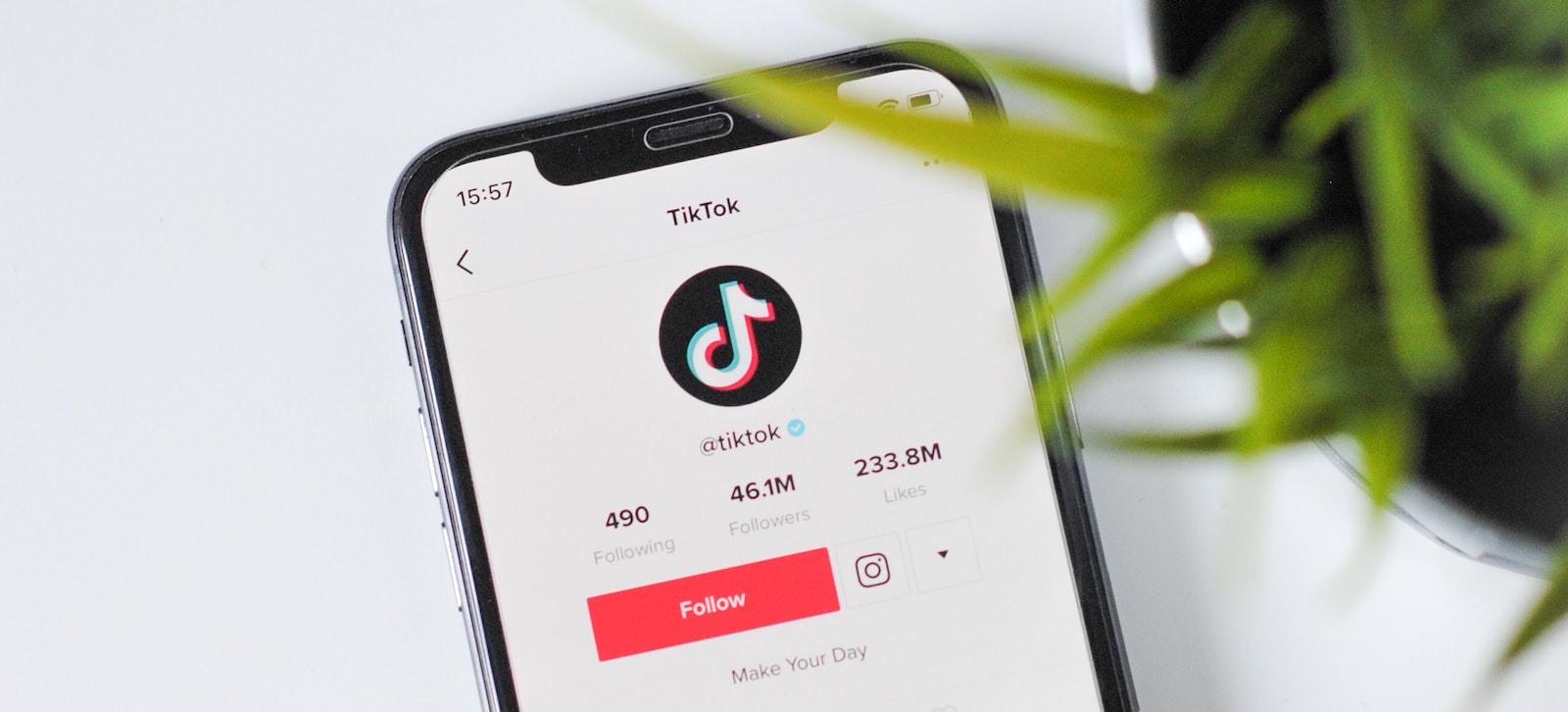 Is TikTok Growing?