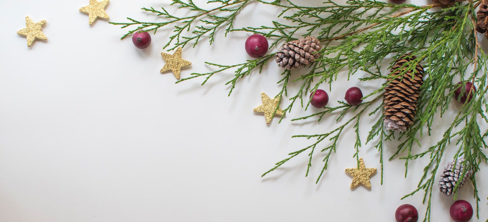 green and red pine cone