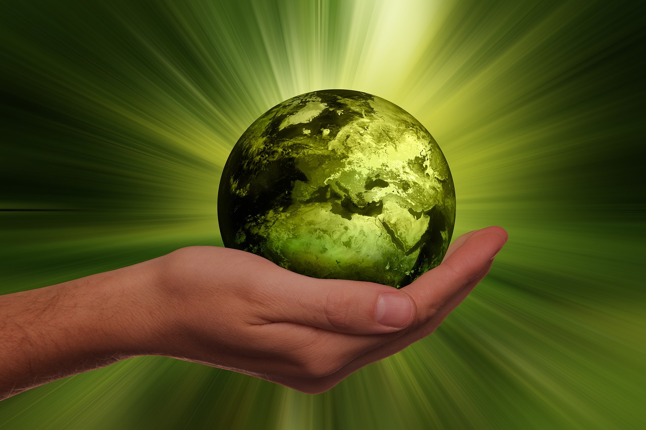 person holding green earth in their hand